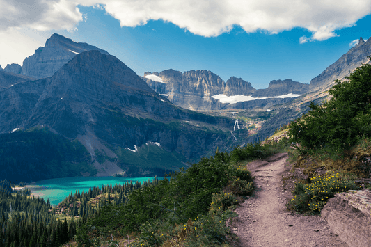 Glacier National Park Conservancy Case Study - ToughCutie