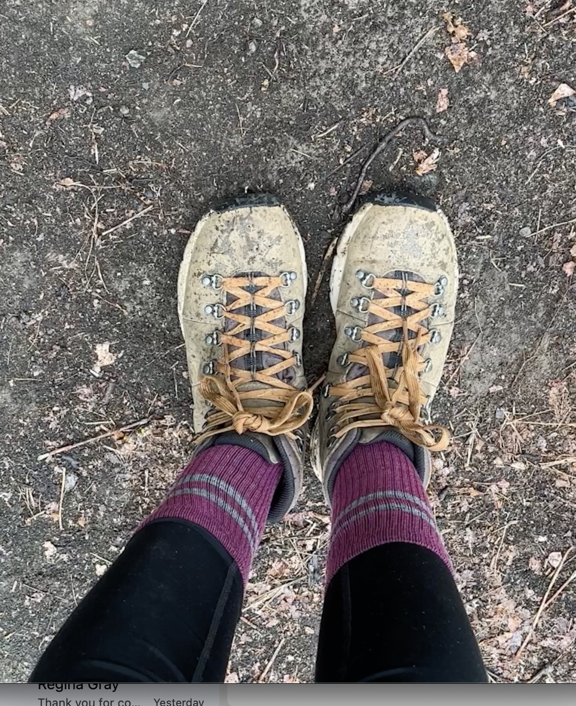 Classic Athletic Merino Wool Hiker Crew